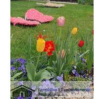 Haag i. OBB.1,5-Zi Gartenwohnung mit EBK und Garagenstellplatz in ruhiger Lage am Waldrand - Haag in Oberbayern