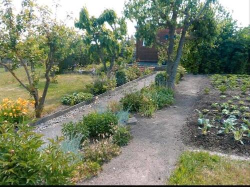 Foto - Garten in liebevolle Hände abzugeben