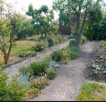 Garten in liebevolle Hände abzugeben - Stralsund Langendorfer Berg