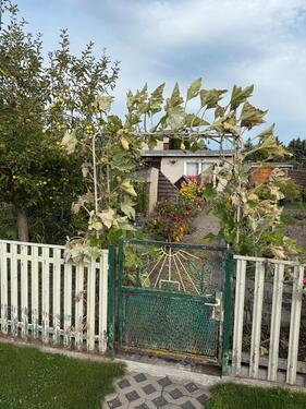 Foto - Schrebergarten - 1.000,00 EUR Kaltmiete, ca.  0,00 m²
