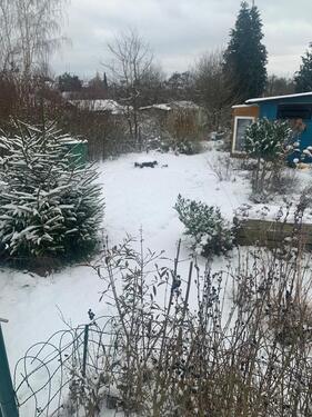 Foto - Schrebergarten - 100,00&nbsp;EUR Kaltmiete, ca.&nbsp; 100,00&nbsp;m&sup2;