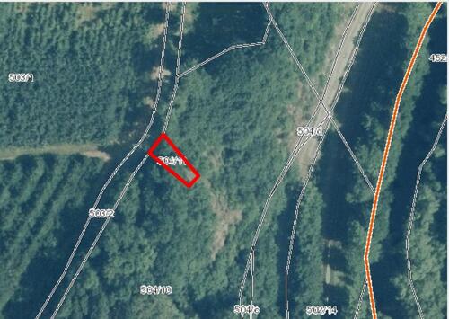 Foto - 08315 Lauter-Bernsbach, Grundstück, naturbelassen, Gehölzfläche im Westerzgebirge