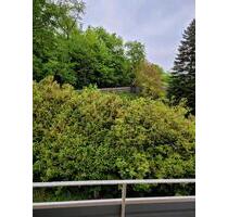 Ruhige Mietwohnung im Grünen - 395,00&nbsp;EUR Kaltmiete, ca.&nbsp; 52,00&nbsp;m&sup2; in Hagen (PLZ: 58091) Dahl