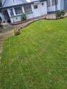 Foto - 8 Zimmer Einfamilienhaus zum Kaufen in Minden
