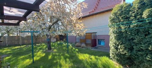 Foto - 6 Zimmer Einfamilienhaus in Meyenburg