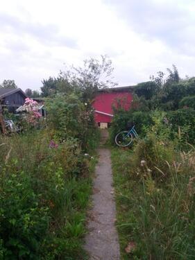 Foto - 