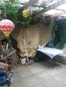 Foto - Garten in Wismar Hafffeld 'Am Torney' abzugeben