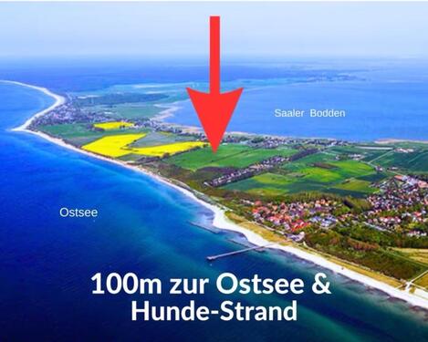 Foto - ❣️ OSTSEE Urlaub Ahrenshoop strandnahes Ferienhaus mit Hund ❣️