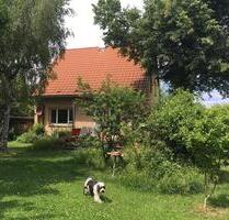 Schönes freistehendes Einfamilienhaus mit - Marktbergel