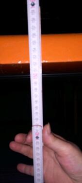 Foto - andere zur Miete in Dresden