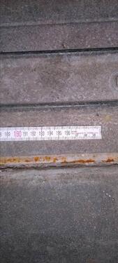 Foto - andere in Dresden