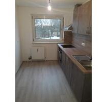 Helle 3-Zimmerwohnung in Goldscheuer - Kehl