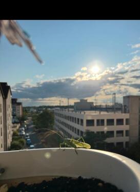 Foto - 3 Zimmer Wohnung, mit Abstellkammer großem Balkon und Keller!