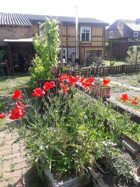 Foto - andere zur Miete in Laage