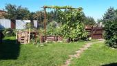 Foto - andere in Laage zur Miete