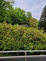 Foto - Ruhige Mietwohnung im Grünen - 395,00&nbsp;EUR Kaltmiete, ca.&nbsp; 52,00&nbsp;m&sup2;