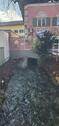Foto - andere in Germering
