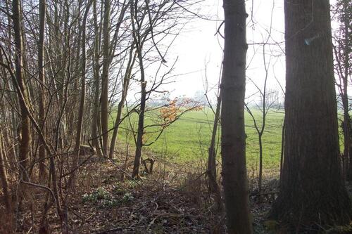 Foto - Einfamilienhaus in Dörphof zum Kaufen