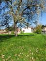 Foto - Gartentraum mit freistehendem EFH, 2.400 m²
