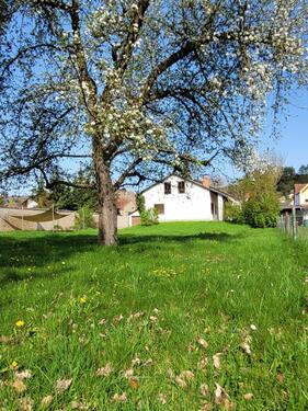 Foto - Gartentraum mit freistehendem EFH, 2.400 m²