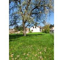 Gartentraum mit freistehendem EFH, 2.400 m² - Dollnstein