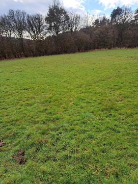 Foto - Grünland Wiese Garten Hobby Landwirtschaft Herborn-Seelbach