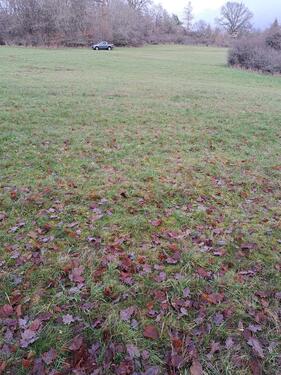 Foto - Grundst&uuml;ck zur Miete in Herborn