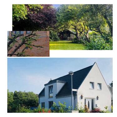 Foto - An jedem Anfang wohnt ein Zauber inne