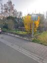 Foto - 6 Zimmer Einfamilienhaus zum Kaufen in Simmern/Hunsrück