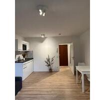 Apartment EBK Terrasse TG frisch renoviert & möbliert ab sofort - Leimen