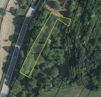 3 GrundstückeGrünland in Rutsweiler am Glan (HLO 77) - Rammelsbach