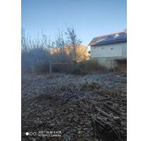 2 MFH Gewerbe Rohbau mehrere Wohnungen Altbau Sanierungsobjekt - Mühlberg/Elbe