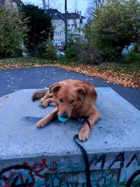 Foto - WG Gründung Wohnung - 1.000,00&nbsp;EUR Kaltmiete,