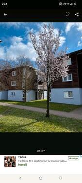 Foto - Etagenwohnung in Ilmenau zur Miete