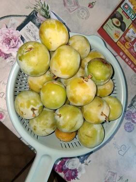 Foto - 