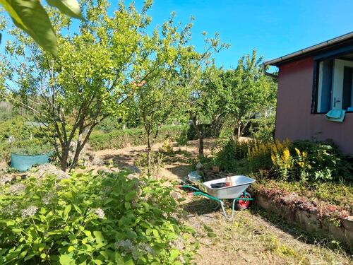 Foto - Schrebergarten abzugeben - 477,00 EUR Kaltmiete, ca.  0,00 m²