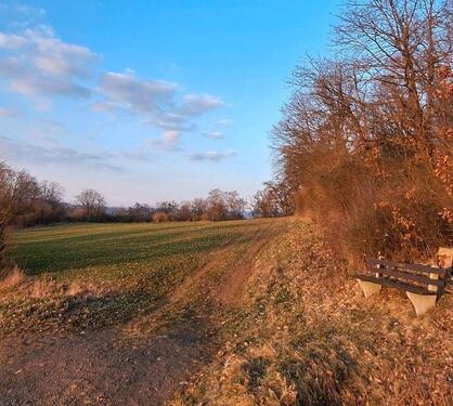 Foto - Wiese Waldrandlage Weide tolle Aussicht Grünland