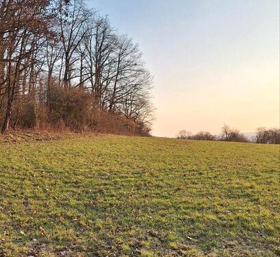 Foto - Grundst&uuml;ck in Nidda zur Miete