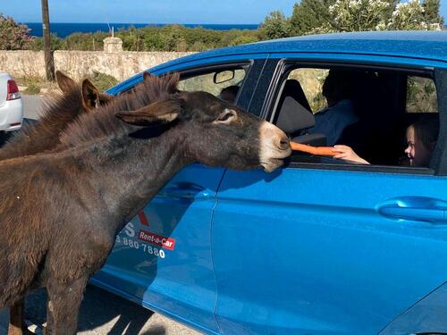 Foto - 1 Zimmer Erdgeschoßwohnung in Bremervörde