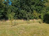 Foto - Idyllischer Schrebergarten am Waldrand