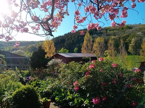 Foto - andere zur Miete in Hilchenbach