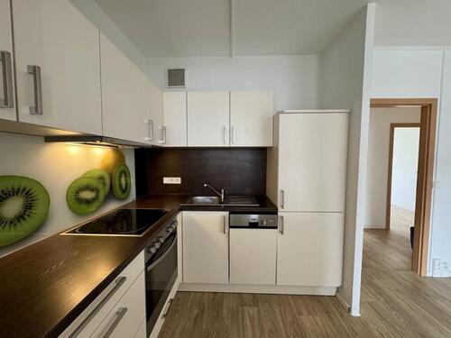 Foto - Etagenwohnung in Chemnitz zur Miete