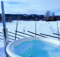 Ferienhaus in Schweden am See Grängen in Värmland - Hamburg Harvestehude