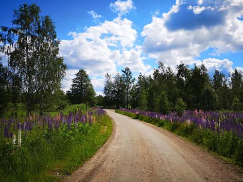 Foto - andere in Hamburg zur Miete
