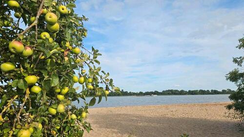 Foto - Grundstück zu verkaufen - 85.000,00&nbsp;EUR Kaufpreis, ca.&nbsp; 563,00&nbsp;m&sup2;