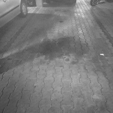 Foto - Stellplatz zum vermieten - 60,00 EUR Miete,