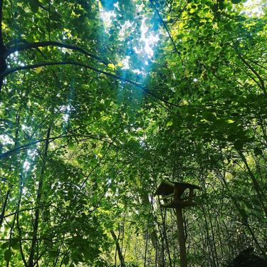 Foto - 1 Zimmer Einfamilienhaus zur Miete in Holzminden