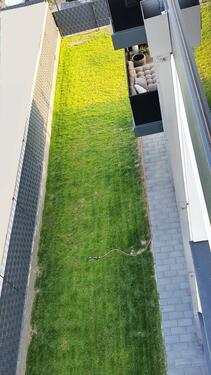 Foto - 3 Zimmer Erdgeschoßwohnung in Weyhausen