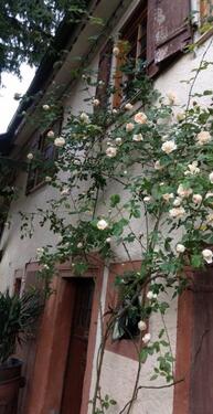 Foto - 4 Zimmer Bauernhaus, Landhaus zum Kaufen in Sulz am Neckar