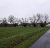 Von privat: Wiesen Grundstücke Hamm Braam-Ostwennemar 10.495 qm - Steinfurt